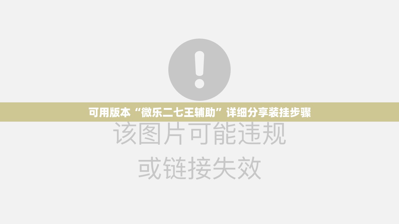 可用版本“微乐二七王辅助	”详细分享装挂步骤