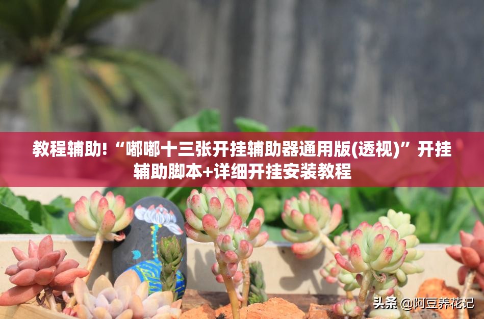教程辅助!“嘟嘟十三张开挂辅助器通用版(透视)”开挂辅助脚本+详细开挂安装教程