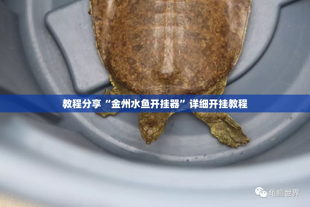 教程分享“金州水鱼开挂器	”详细开挂教程