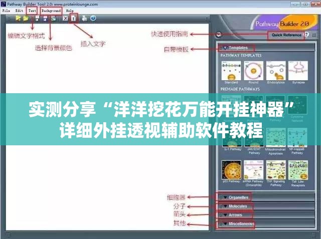 实测分享“洋洋挖花万能开挂神器”详细外挂透视辅助软件教程