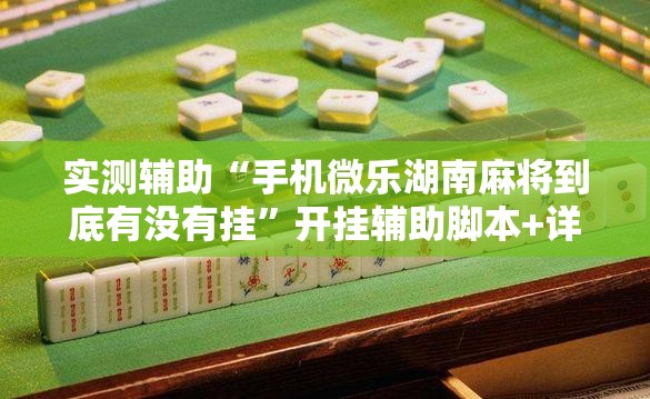实测辅助“手机微乐湖南麻将到底有没有挂”开挂辅助脚本+详细开挂安装教程