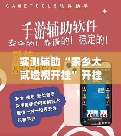 实测辅助“家乡大贰透视开挂”开挂(透视)辅助神器