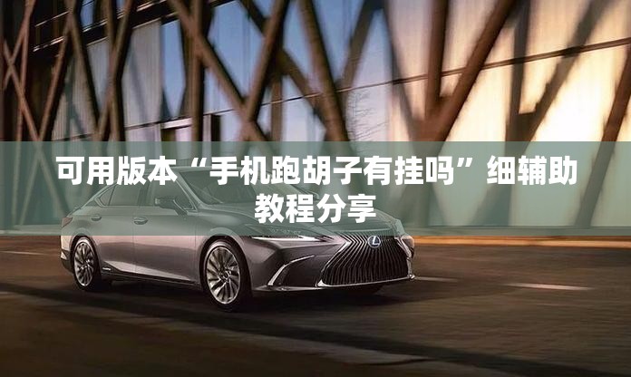 可用版本“手机跑胡子有挂吗”细辅助教程分享