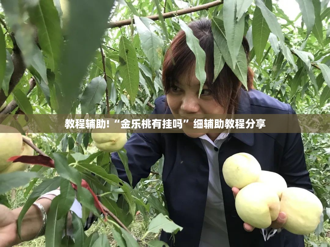 教程辅助!“金乐桃有挂吗	”细辅助教程分享