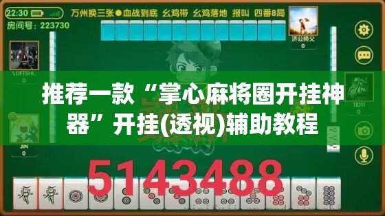 推荐一款“掌心麻将圈开挂神器”开挂(透视)辅助教程