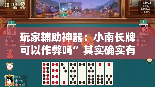 玩家辅助神器：小南长牌可以作弊吗”其实确实有挂
