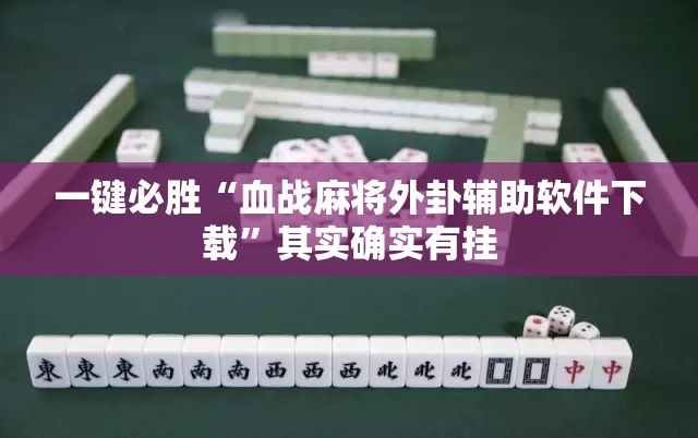 一键必胜“血战麻将外卦辅助软件下载”其实确实有挂
