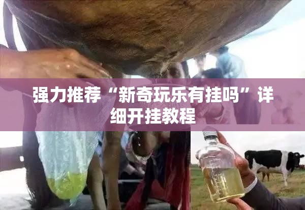 强力推荐“新奇玩乐有挂吗	”详细开挂教程