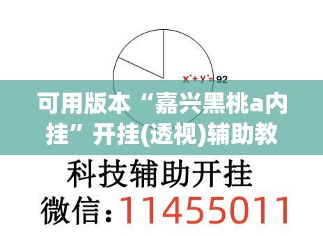 可用版本“嘉兴黑桃a内挂”开挂(透视)辅助教程