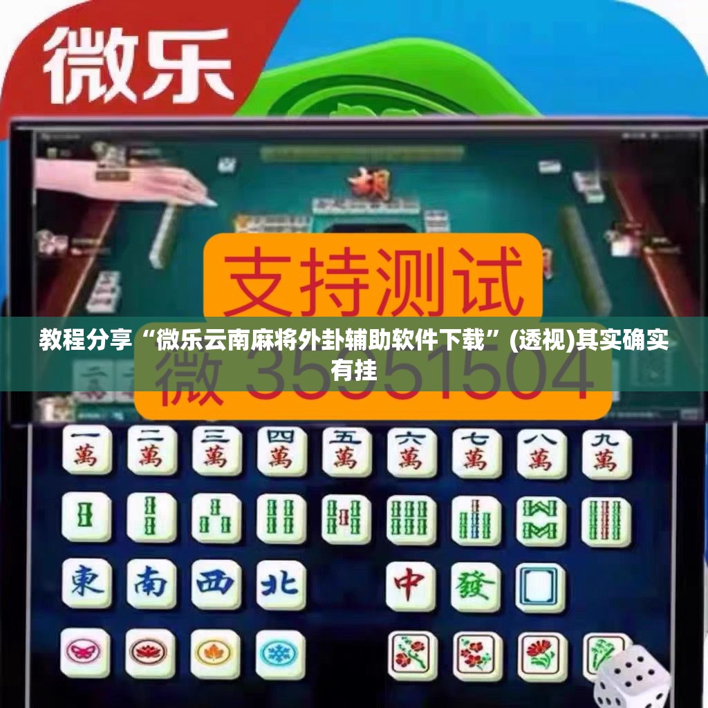教程分享“微乐云南麻将外卦辅助软件下载”(透视)其实确实有挂
