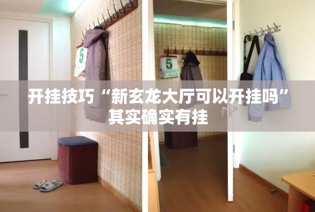 开挂技巧“新玄龙大厅可以开挂吗	”其实确实有挂