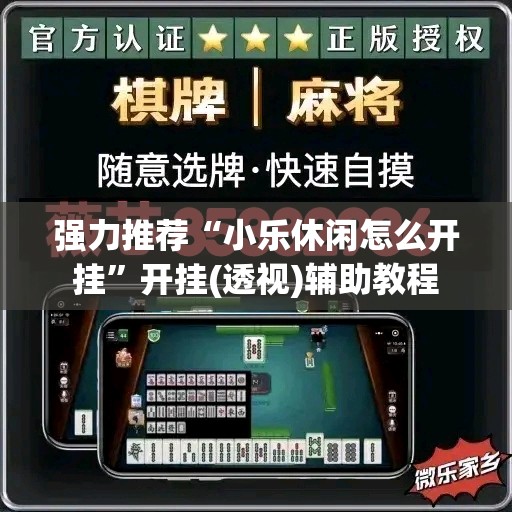 强力推荐“小乐休闲怎么开挂”开挂(透视)辅助教程