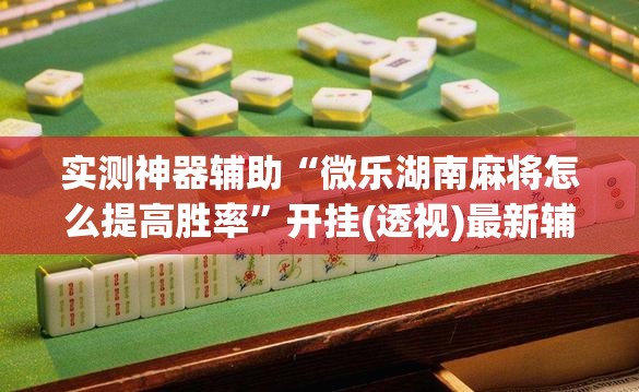 实测神器辅助“微乐湖南麻将怎么提高胜率”开挂(透视)最新辅助详细