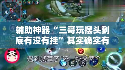 辅助神器“三哥玩摆头到底有没有挂”其实确实有挂