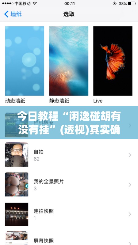 今日教程“闲逸碰胡有没有挂”(透视)其实确实有挂