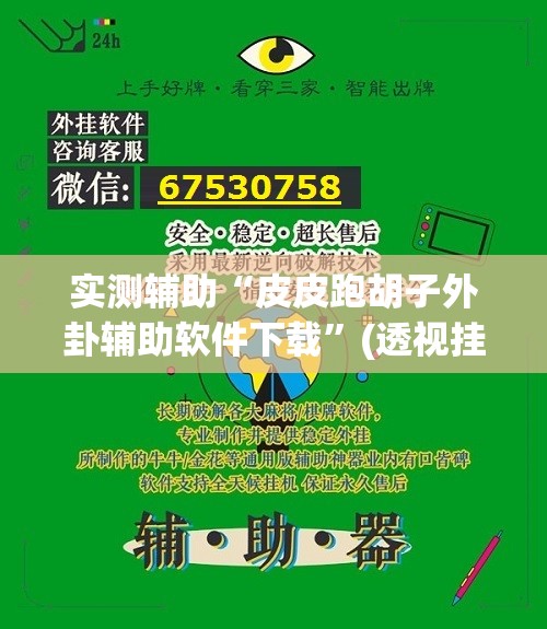 实测辅助“皮皮跑胡子外卦辅助软件下载”(透视挂)辅助下载教程
