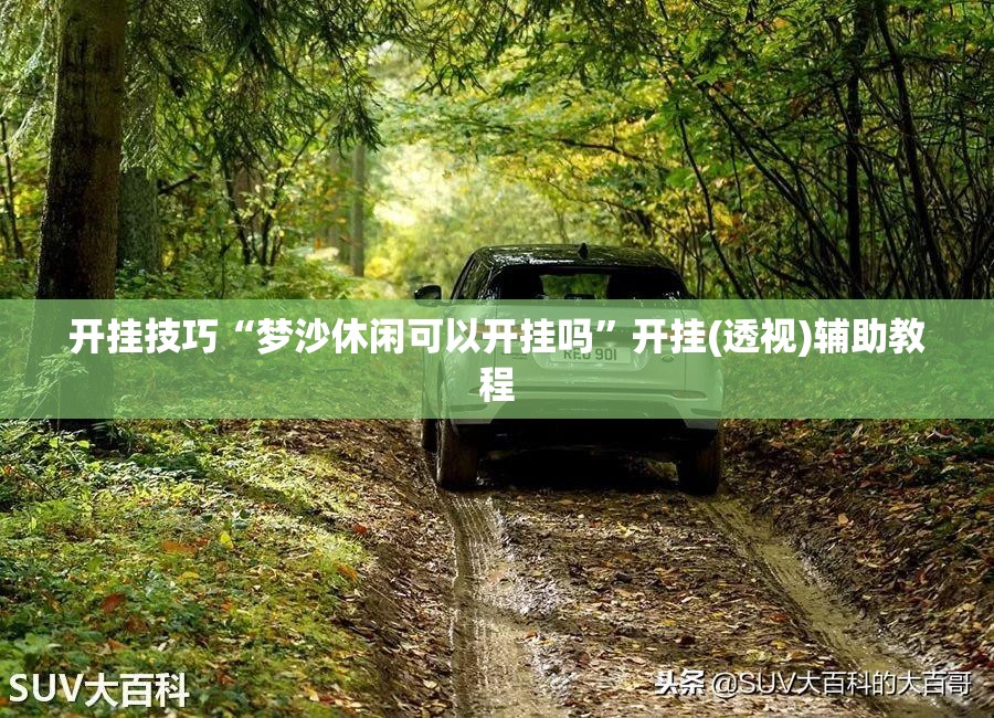 开挂技巧“梦沙休闲可以开挂吗”开挂(透视)辅助教程