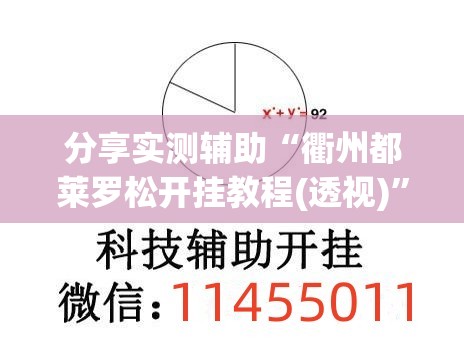 分享实测辅助“衢州都莱罗松开挂教程(透视)	”开挂辅助脚本+详细开挂安装教程