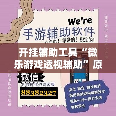 开挂辅助工具“微乐游戏透视辅助”原来可以开挂
