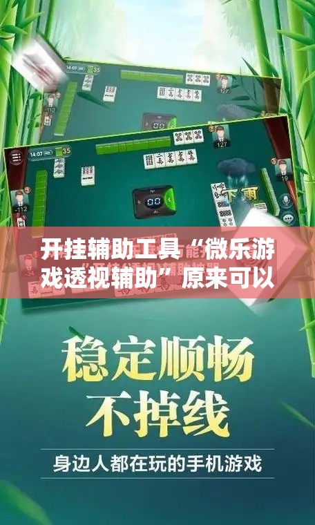 开挂辅助工具“微乐游戏透视辅助”原来可以开挂