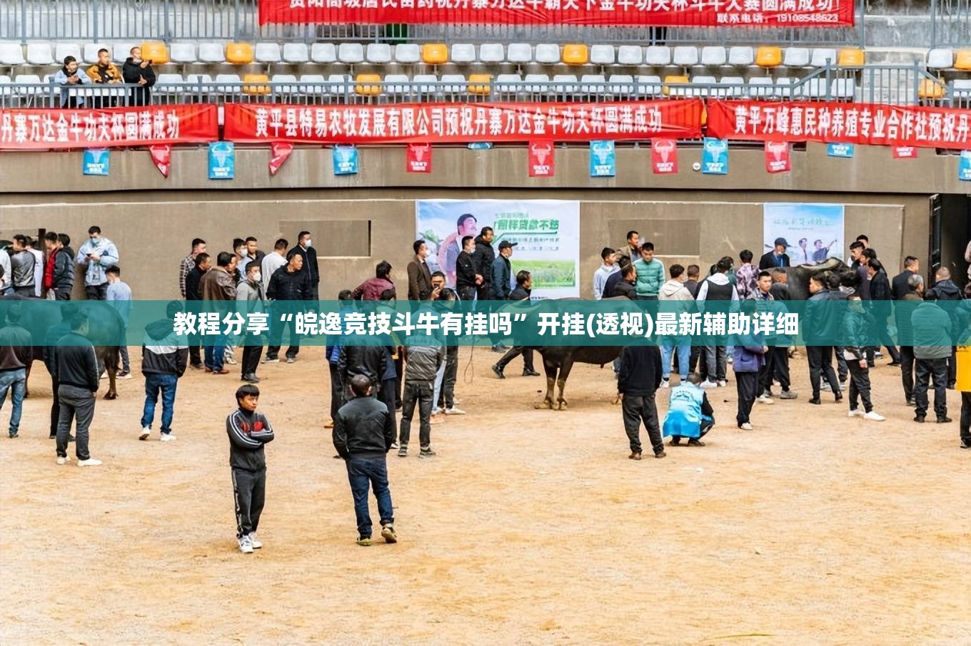教程分享“皖逸竞技斗牛有挂吗”开挂(透视)最新辅助详细
