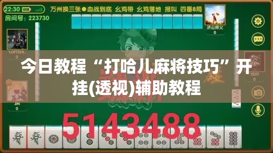 今日教程“打哈儿麻将技巧	”开挂(透视)辅助教程