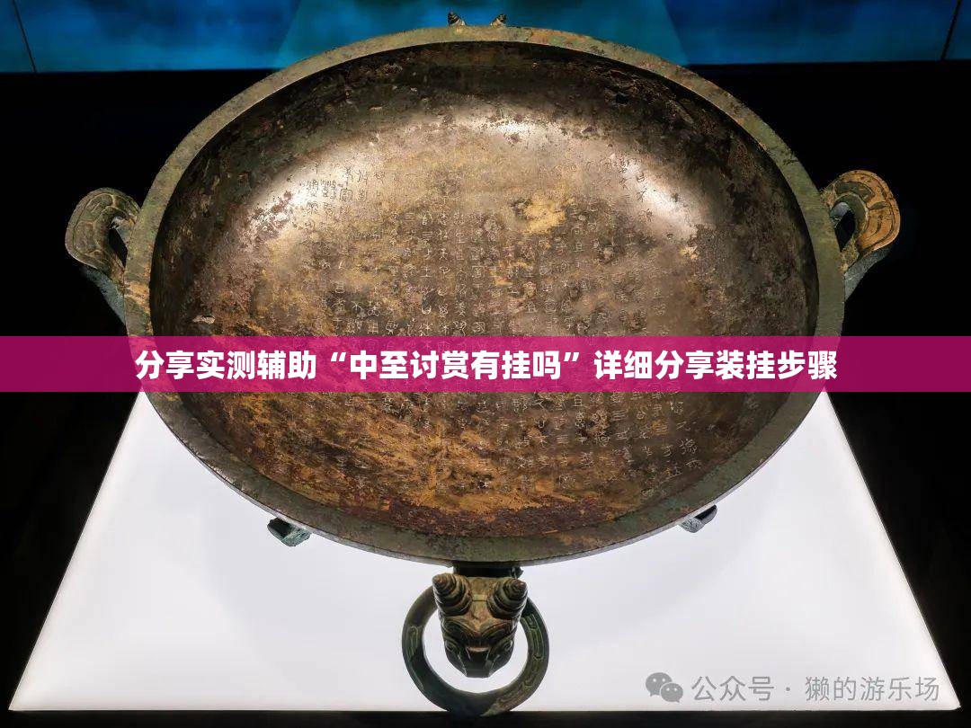分享实测辅助“中至讨赏有挂吗”详细分享装挂步骤