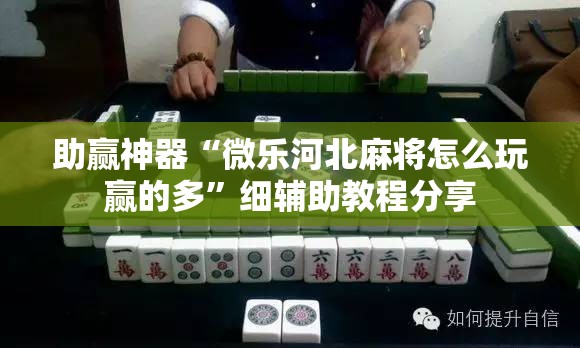 助赢神器“微乐河北麻将怎么玩赢的多”细辅助教程分享