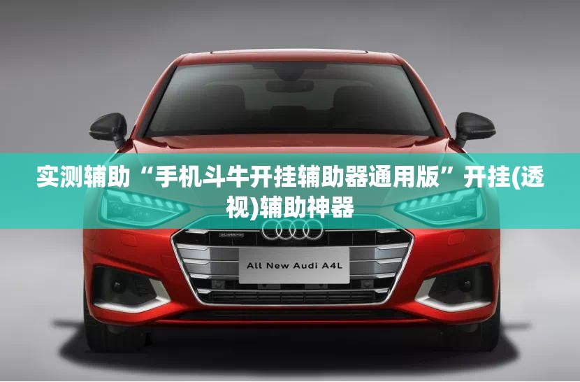 实测辅助“手机斗牛开挂辅助器通用版	”开挂(透视)辅助神器