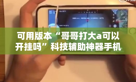 可用版本“哥哥打大a可以开挂吗	”科技辅助神器手机版