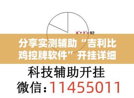 分享实测辅助“吉利比鸡控牌软件	”开挂详细教程