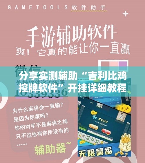分享实测辅助“吉利比鸡控牌软件”开挂详细教程