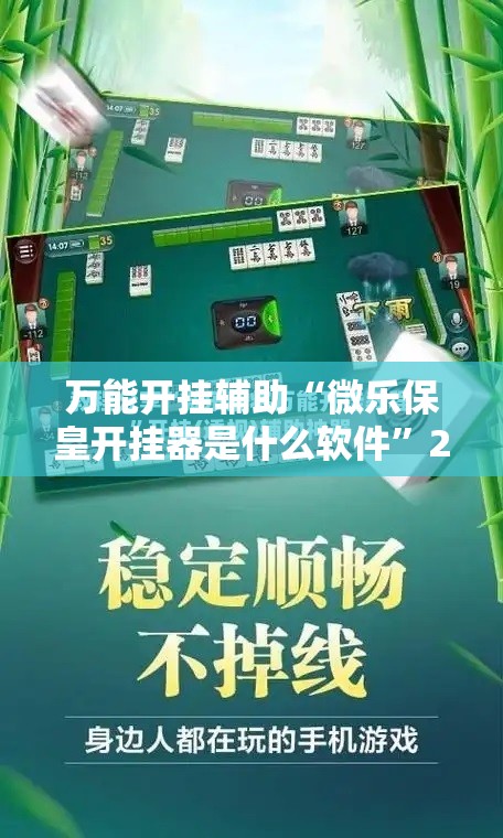 万能开挂辅助“微乐保皇开挂器是什么软件”2026开挂教程步骤