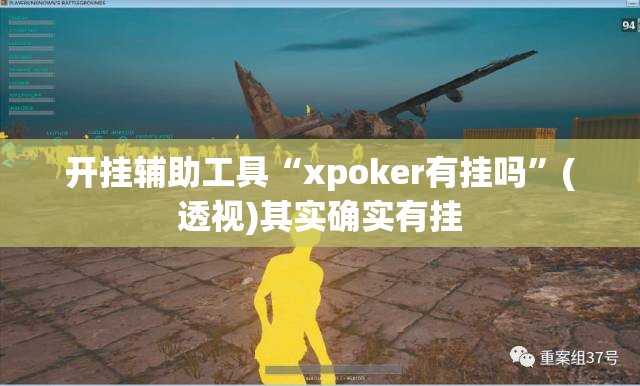 开挂辅助工具“xpoker有挂吗”(透视)其实确实有挂
