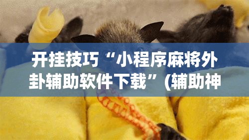 开挂技巧“小程序麻将外卦辅助软件下载	”(辅助神器)开挂详细教程