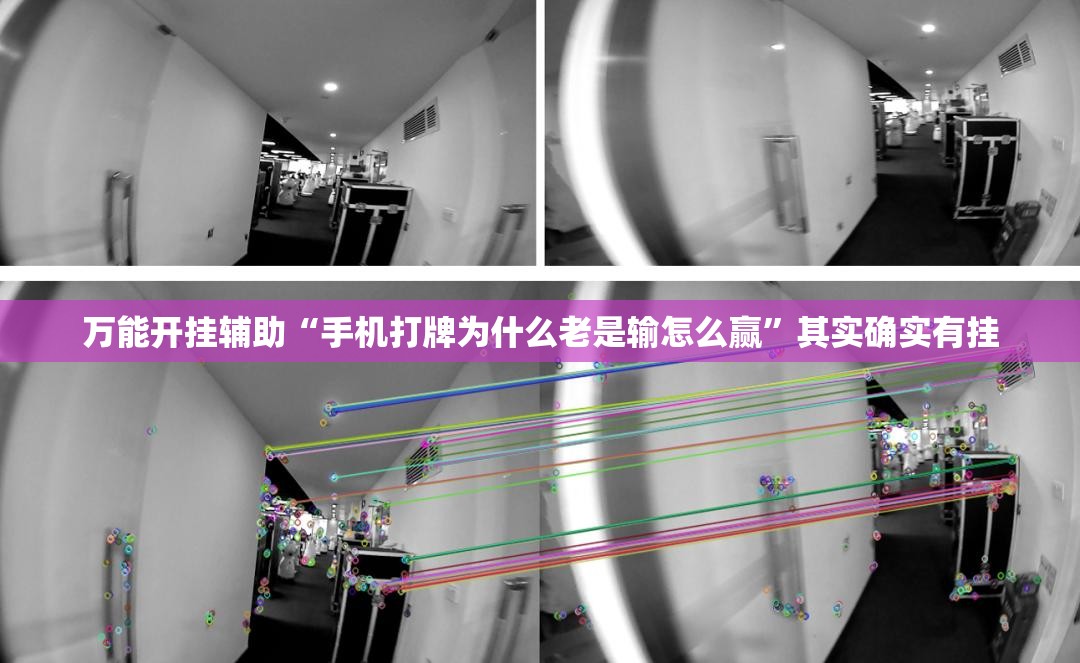 万能开挂辅助“手机打牌为什么老是输怎么赢”其实确实有挂