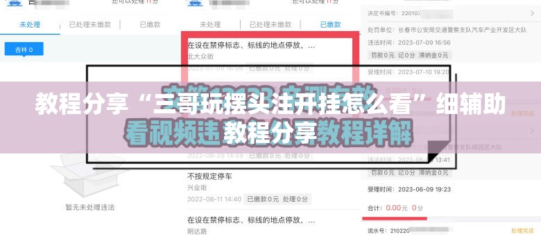 教程分享“三哥玩摆头注开挂怎么看”细辅助教程分享