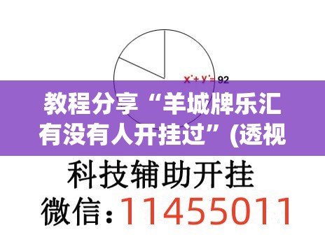 教程分享“羊城牌乐汇有没有人开挂过”(透视挂)辅助下载教程