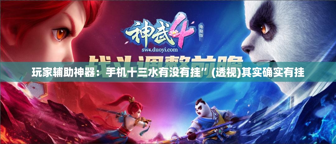 玩家辅助神器：手机十三水有没有挂”(透视)其实确实有挂