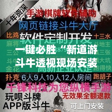 一键必胜“新道游斗牛透视现场安装”(透视挂)辅助下载教程