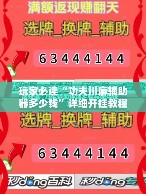 玩家必读“功夫川麻辅助器多少钱”详细开挂教程