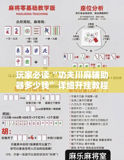 玩家必读“功夫川麻辅助器多少钱”详细开挂教程