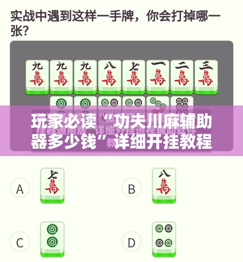 玩家必读“功夫川麻辅助器多少钱	”详细开挂教程
