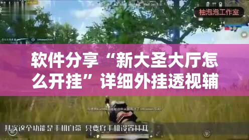 软件分享“新大圣大厅怎么开挂”详细外挂透视辅助软件教程