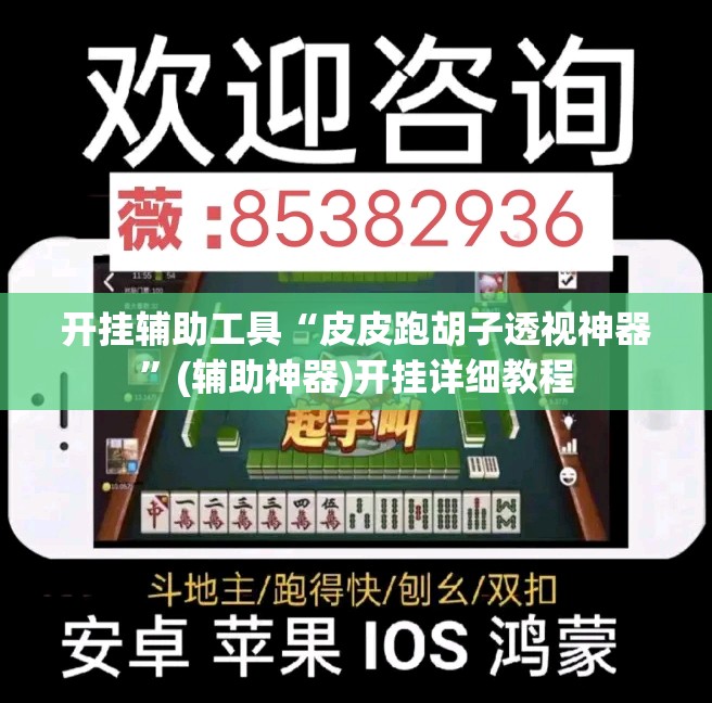 开挂辅助工具“皮皮跑胡子透视神器”(辅助神器)开挂详细教程