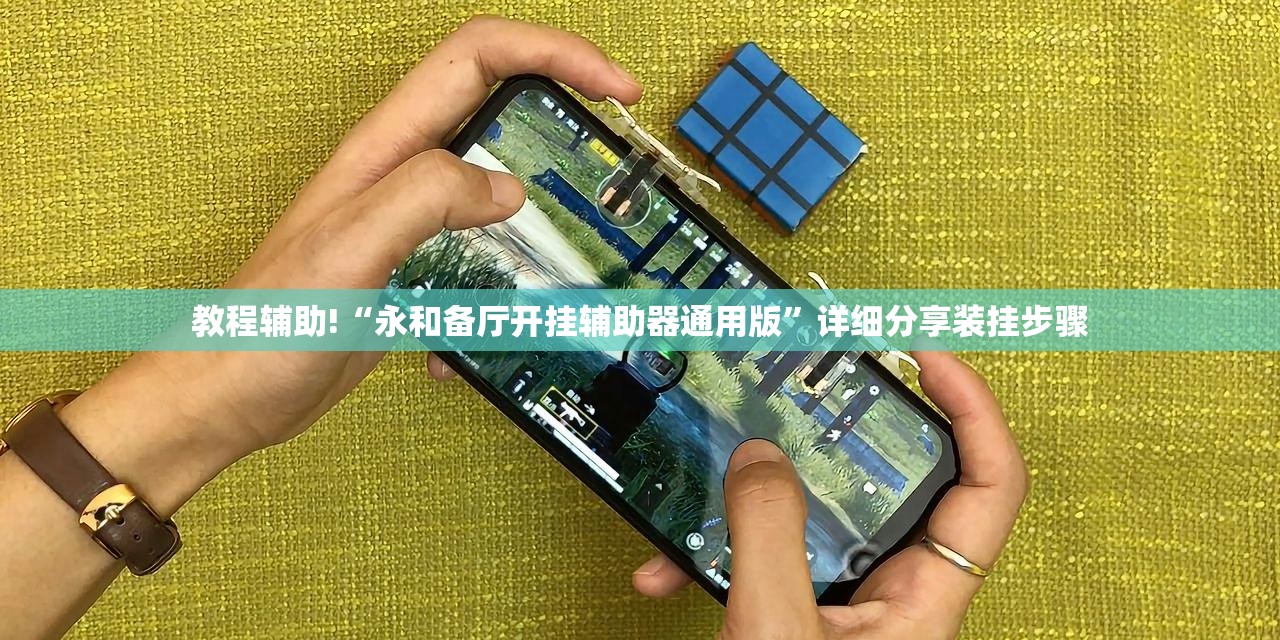 教程辅助!“永和备厅开挂辅助器通用版”详细分享装挂步骤
