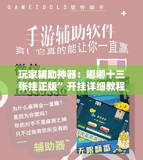玩家辅助神器：嘟嘟十三张挂正版”开挂详细教程