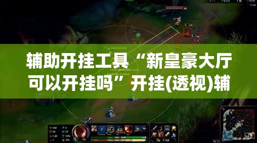 辅助开挂工具“新皇豪大厅可以开挂吗”开挂(透视)辅助教程