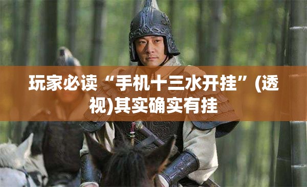 玩家必读“手机十三水开挂”(透视)其实确实有挂