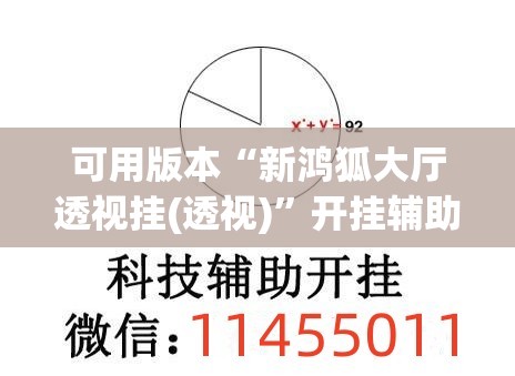 可用版本“新鸿狐大厅透视挂(透视)”开挂辅助脚本+详细开挂安装教程